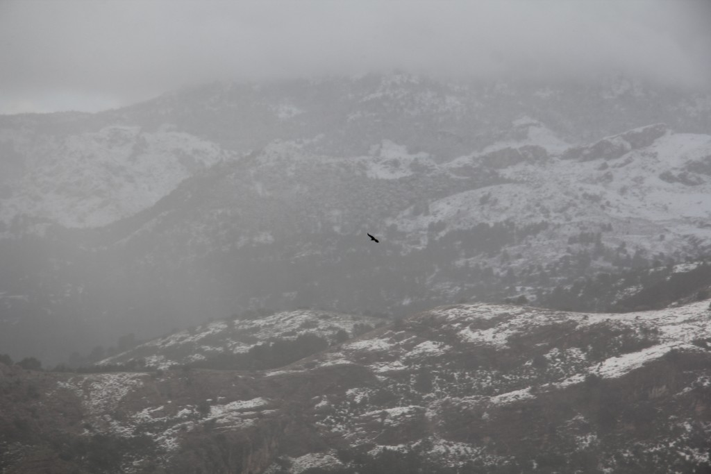 Foto de El Burgo (Málaga), España