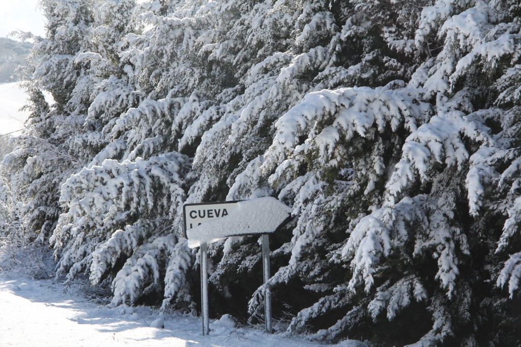 Foto de Montejaque (Málaga), España