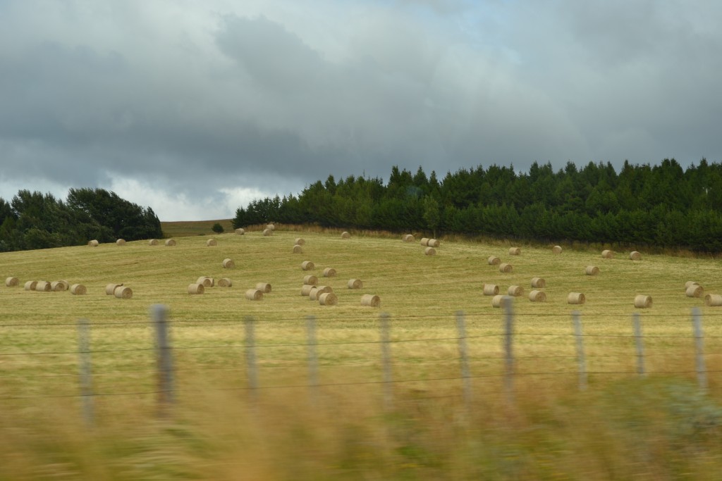 Foto: PANORAMICA - Balmaceda (Aisén del General Carlos Ibáñez del Campo), Chile