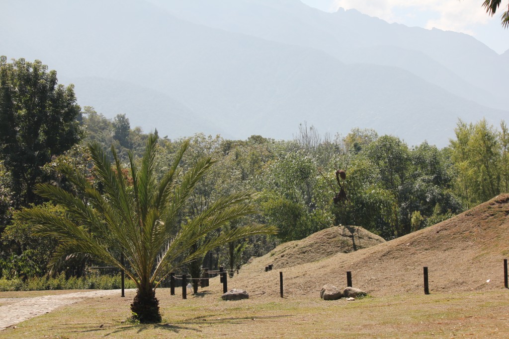 Foto: Jardin Botanico - Merida, Venezuela