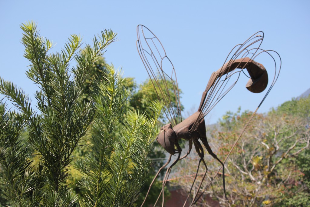 Foto de Merida, Venezuela