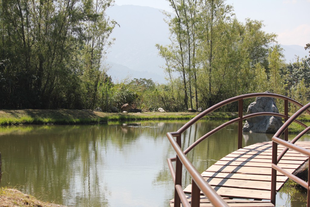 Foto de Merida, Venezuela