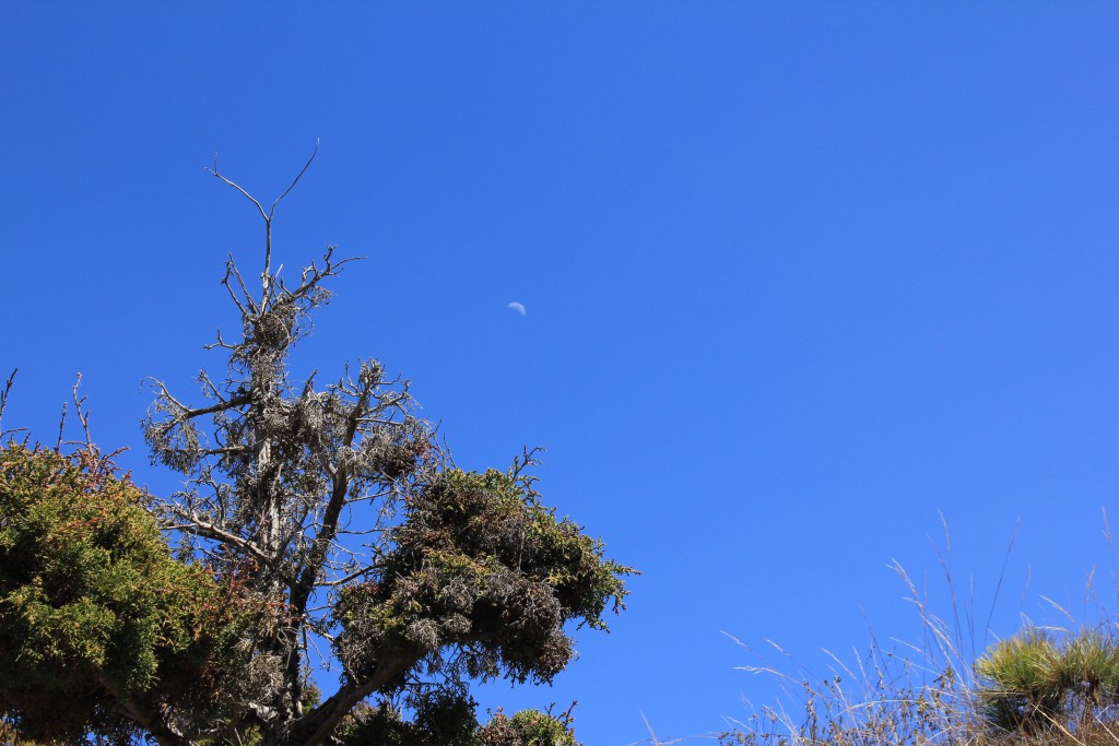 Foto de Merida, Venezuela