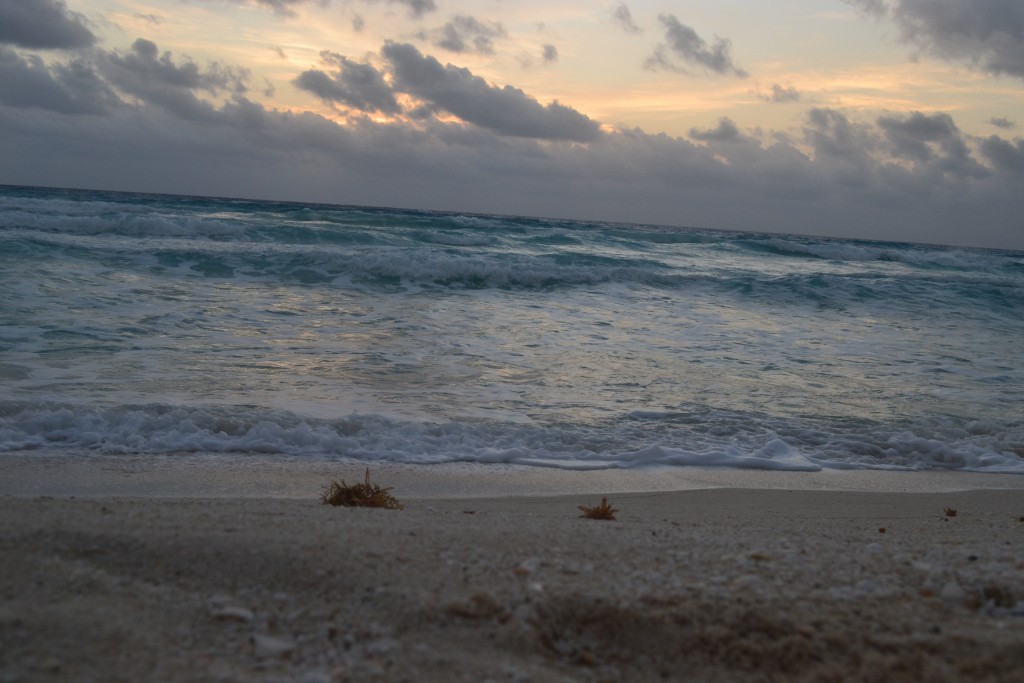 Foto: Amancer En Cancun - Cancun (Quintana Roo), México