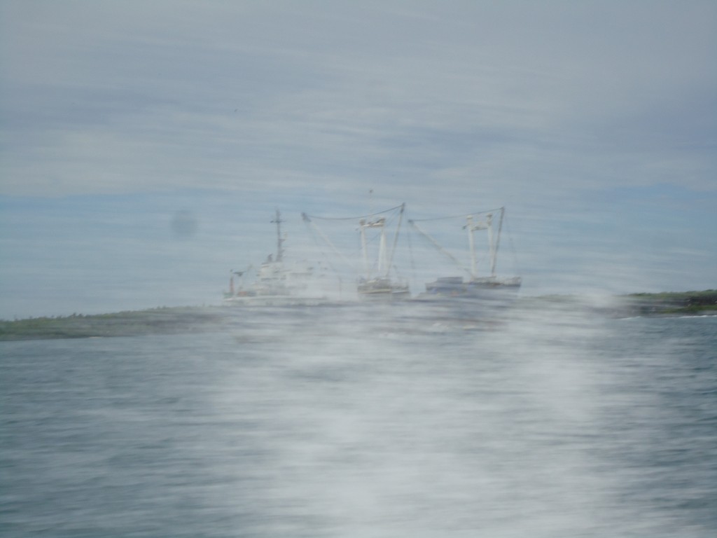 Foto: Barco - Santa Cruz (Galápagos), Ecuador