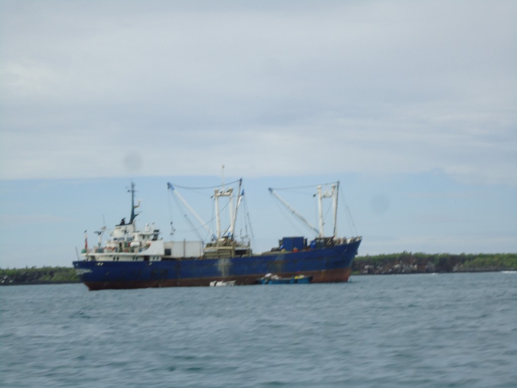 Foto: Barco - Santa Cruz (Galápagos), Ecuador