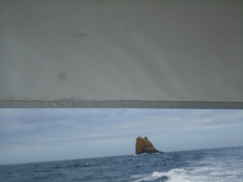 Foto de Santa Cruz (Galápagos), Ecuador