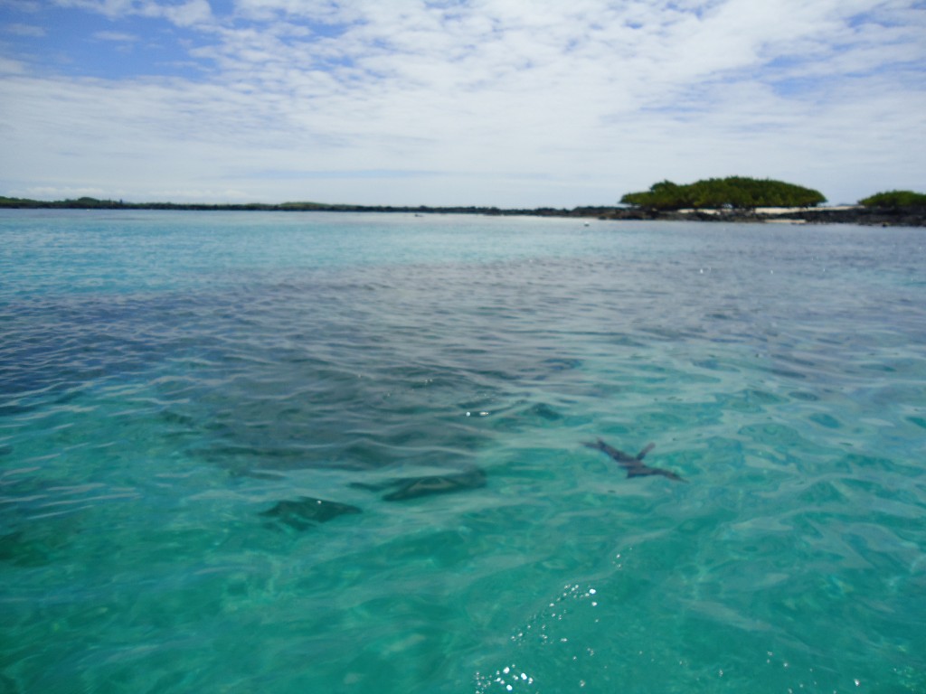 Foto: El mar - Santa Cruz (Galápagos), Ecuador