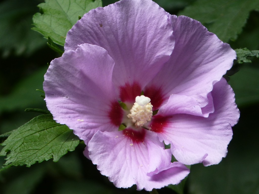 Foto: Casa de campo - Carlos Keen (Buenos Aires), Argentina