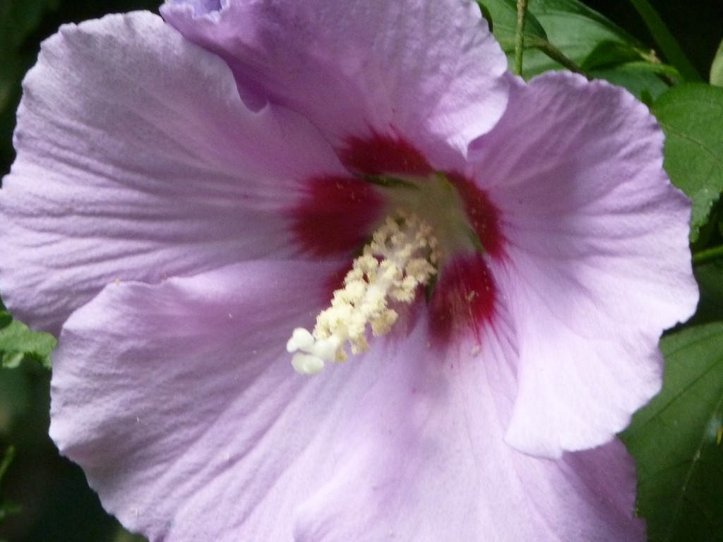 Foto: Casa de campo - Carlos Keen (Buenos Aires), Argentina