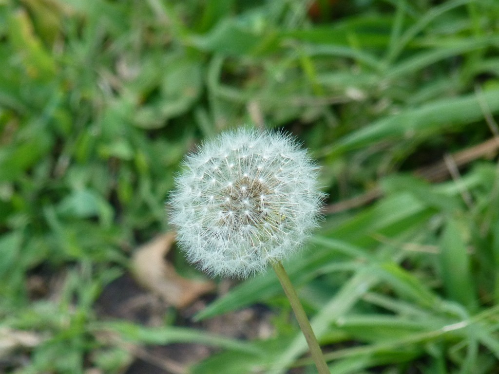Foto: Casa de campo - Carlos Keen (Buenos Aires), Argentina