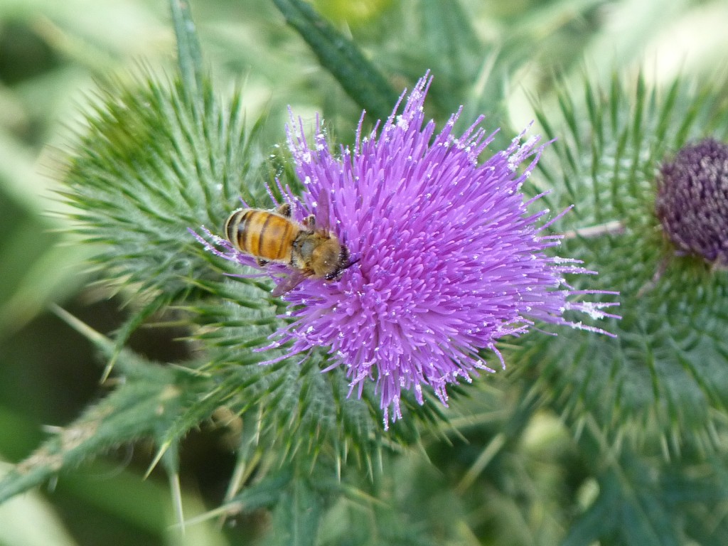 Foto: Casa de campo - Carlos Keen (Buenos Aires), Argentina