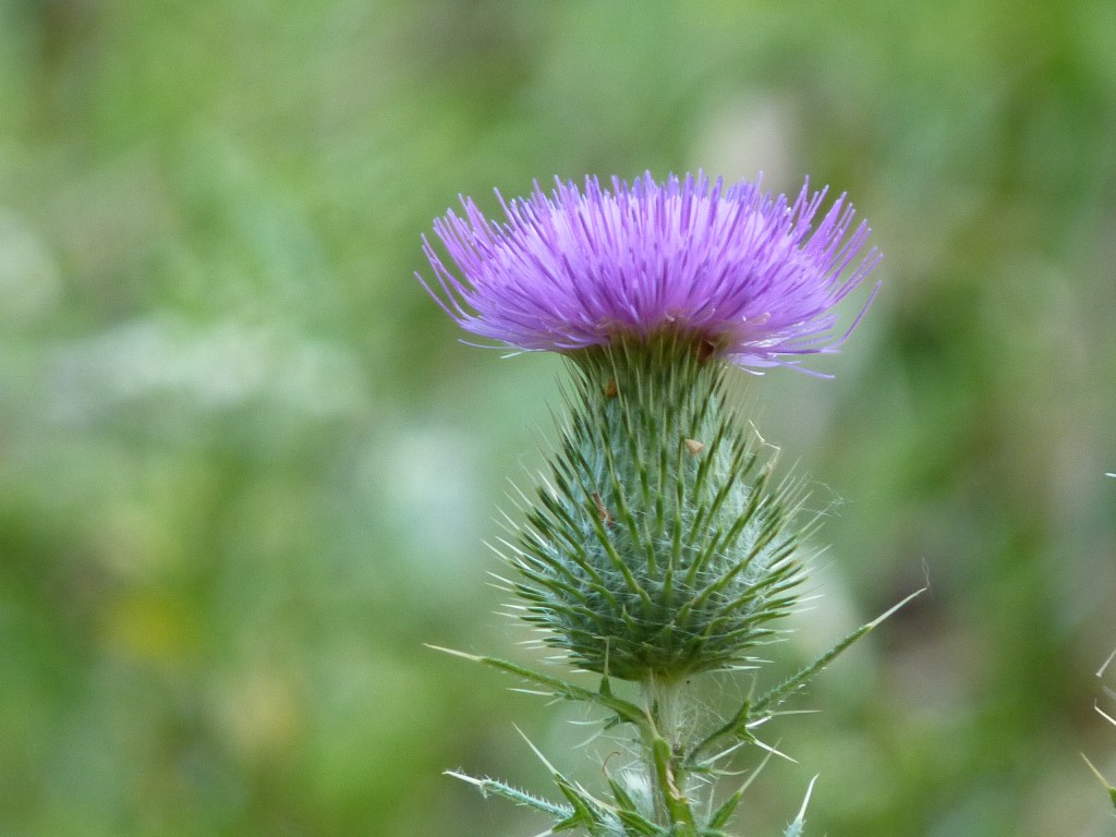 Foto: Casa de campo - Carlos Keen (Buenos Aires), Argentina