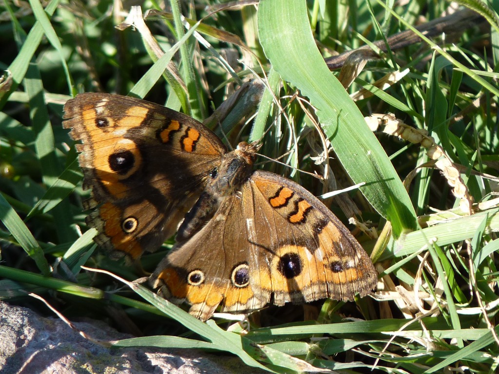 Foto: Estación - Carlos Keen (Buenos Aires), Argentina