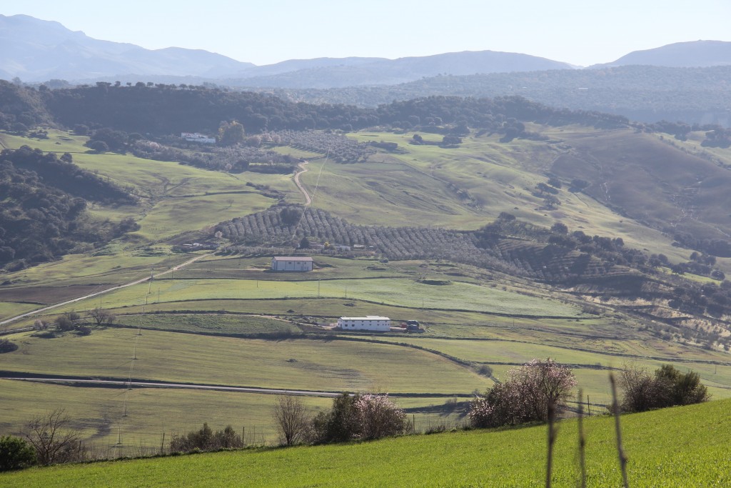 Foto de Montejaque (Málaga), España