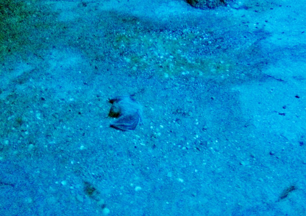 Foto: Faunia - Madrid (Comunidad de Madrid), España