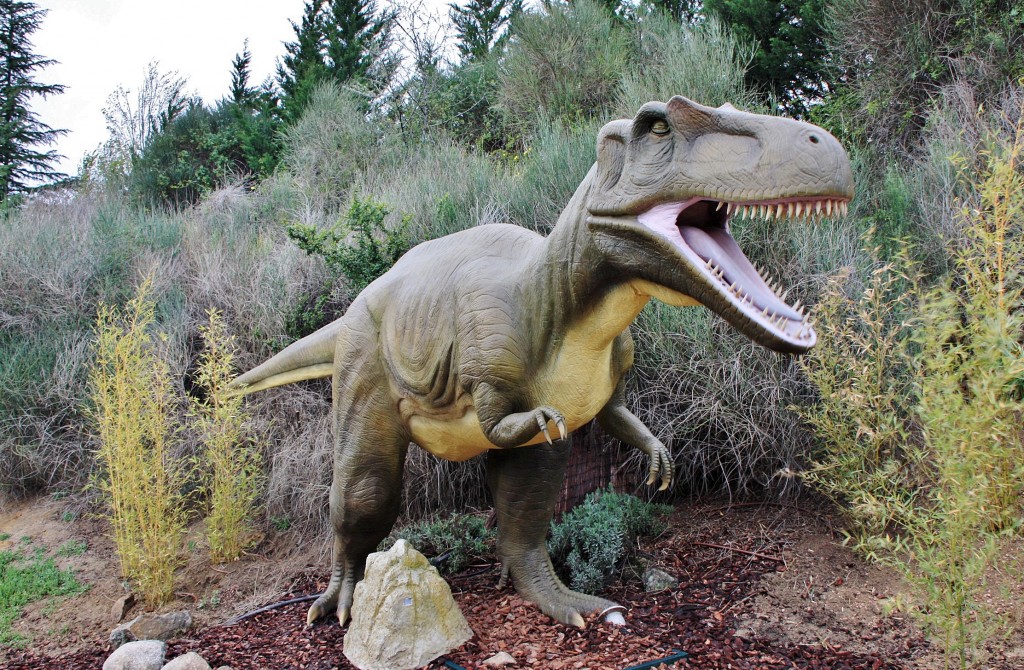 Foto: Faunia - Madrid (Comunidad de Madrid), España