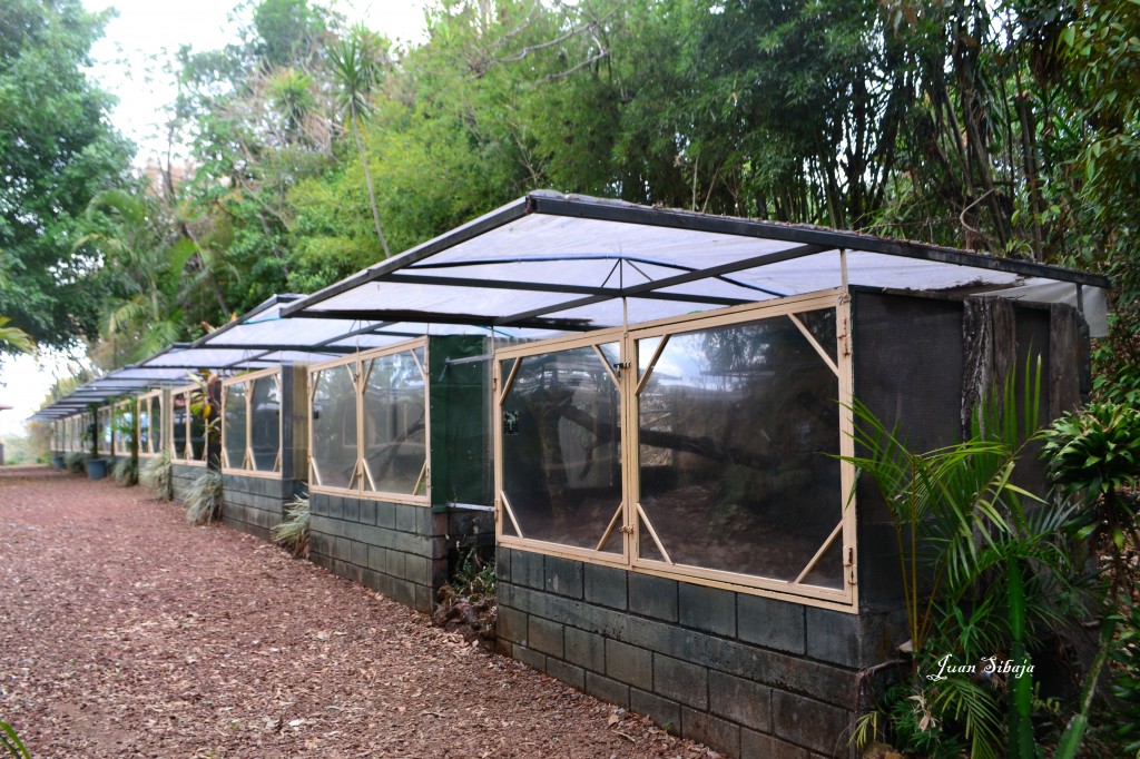 Foto de Gracia (Alajuela), Costa Rica