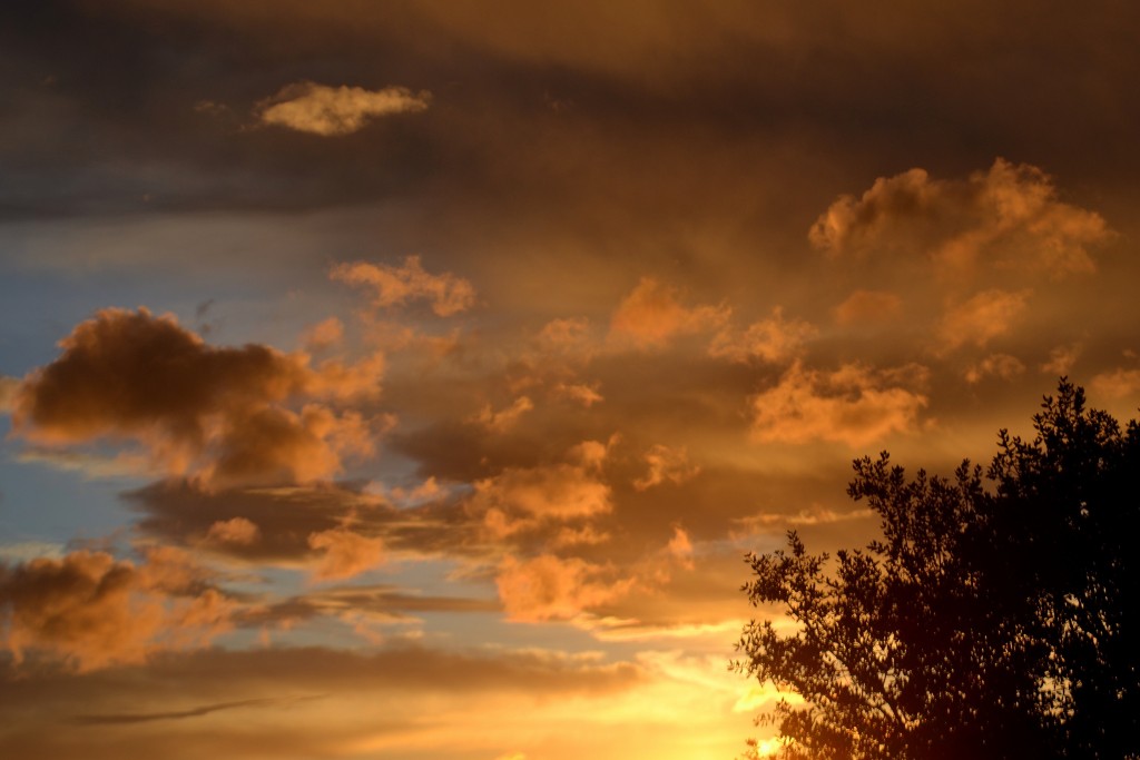 Foto: Amanacer - Torrelles e Foix (Barcelona), España