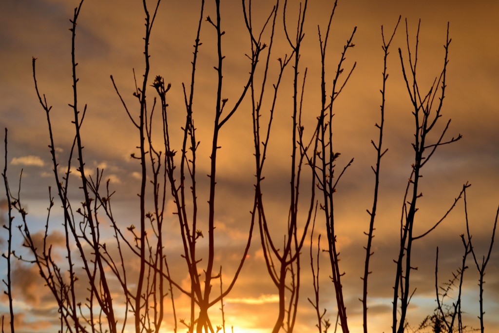 Foto: Puesta de Sol - Torrelles de Foix (Barcelona), España