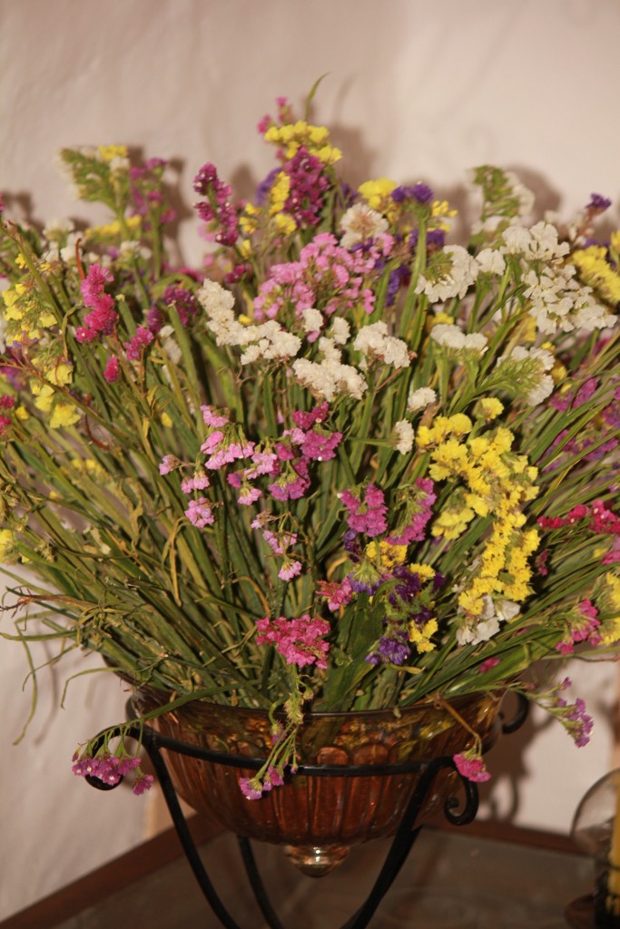 Foto: Colores Silvestres - La Grita (Táchira), Venezuela