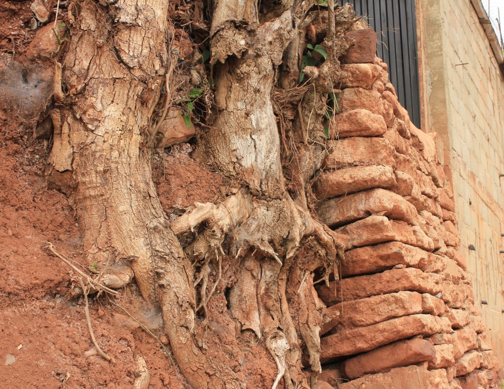 Foto de Aldea Santo Domingo (Táchira), Venezuela