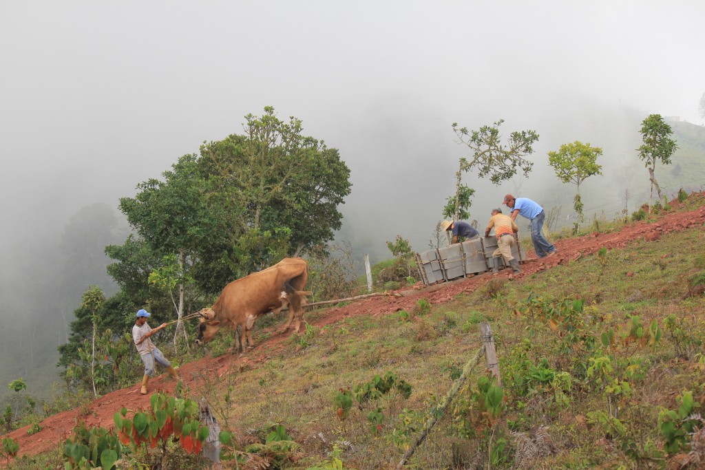 Foto: Labores Andinas. - Aldea Santo Domingo, Venezuela