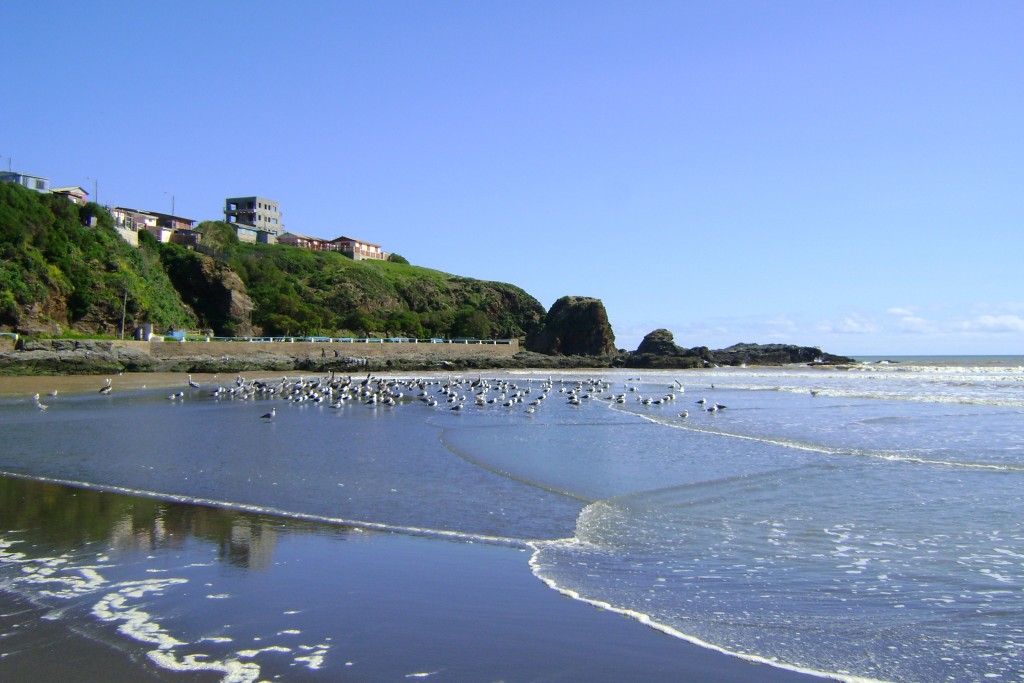 Foto de Bucalemu (Libertador General Bernardo OʼHiggins), Chile