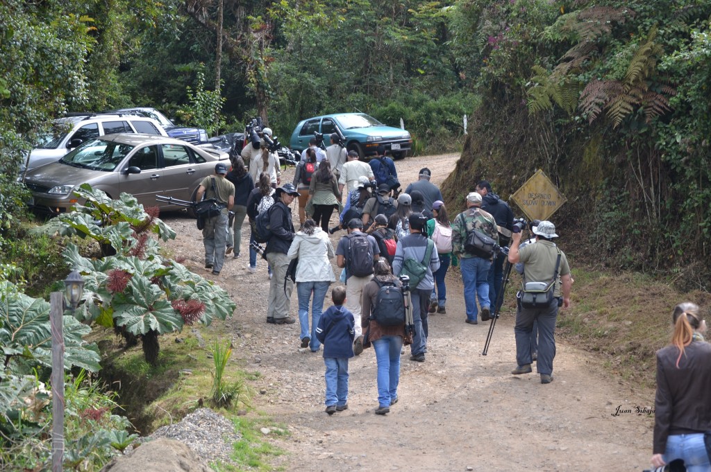 Foto de Cerro De La Muerte (San José), Costa Rica