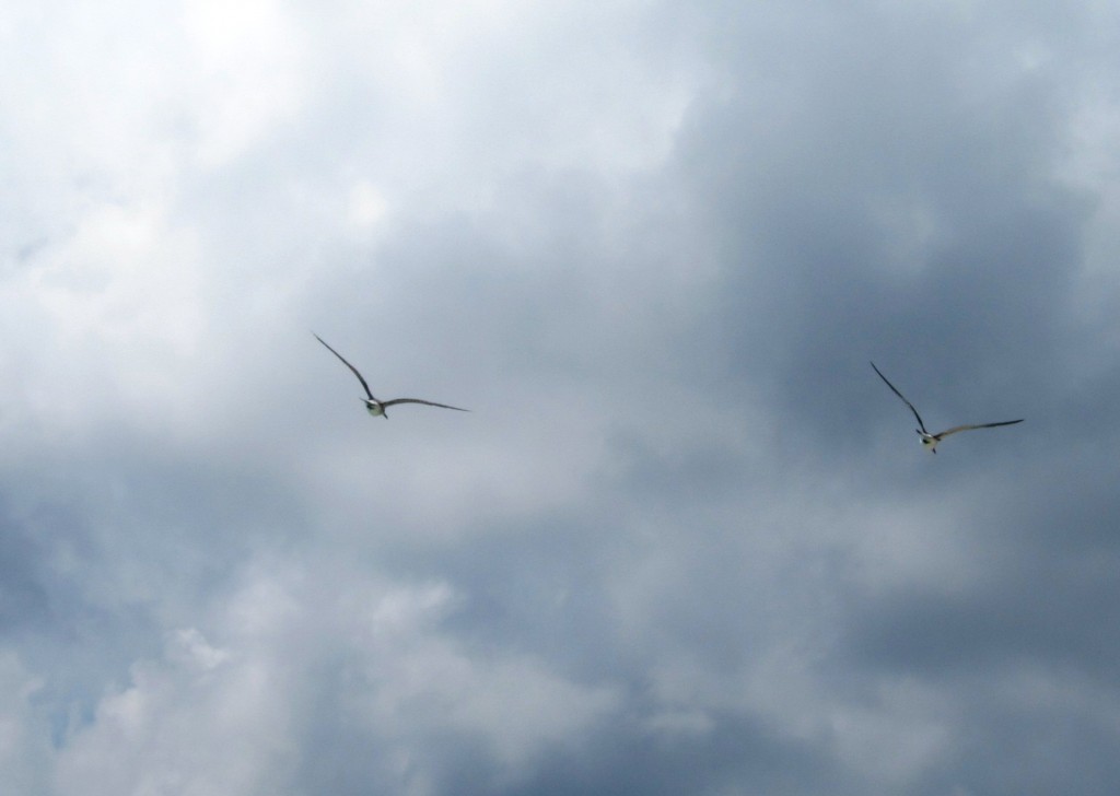 Foto: Tulum - Riviera Maya (Quintana Roo), México