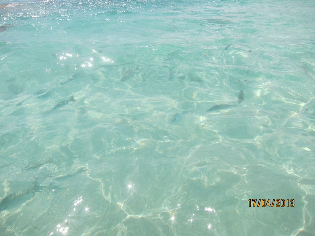 Foto: Tulum - Riviera Maya (Quintana Roo), México