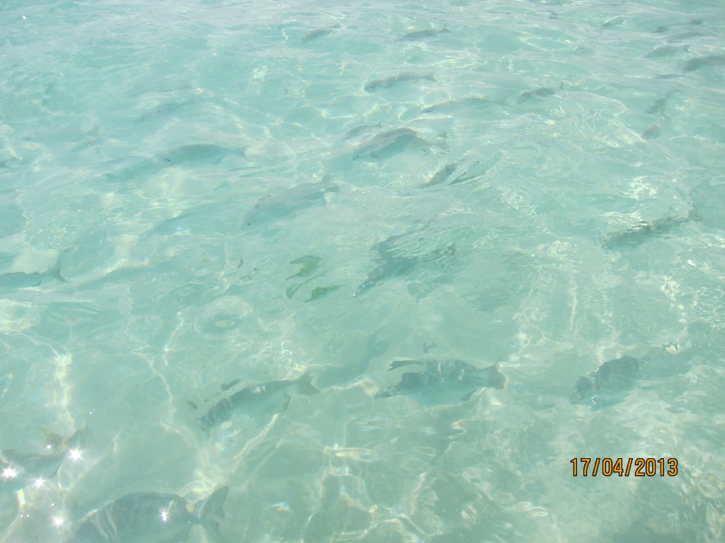Foto: Tulum - Riviera Maya (Quintana Roo), México