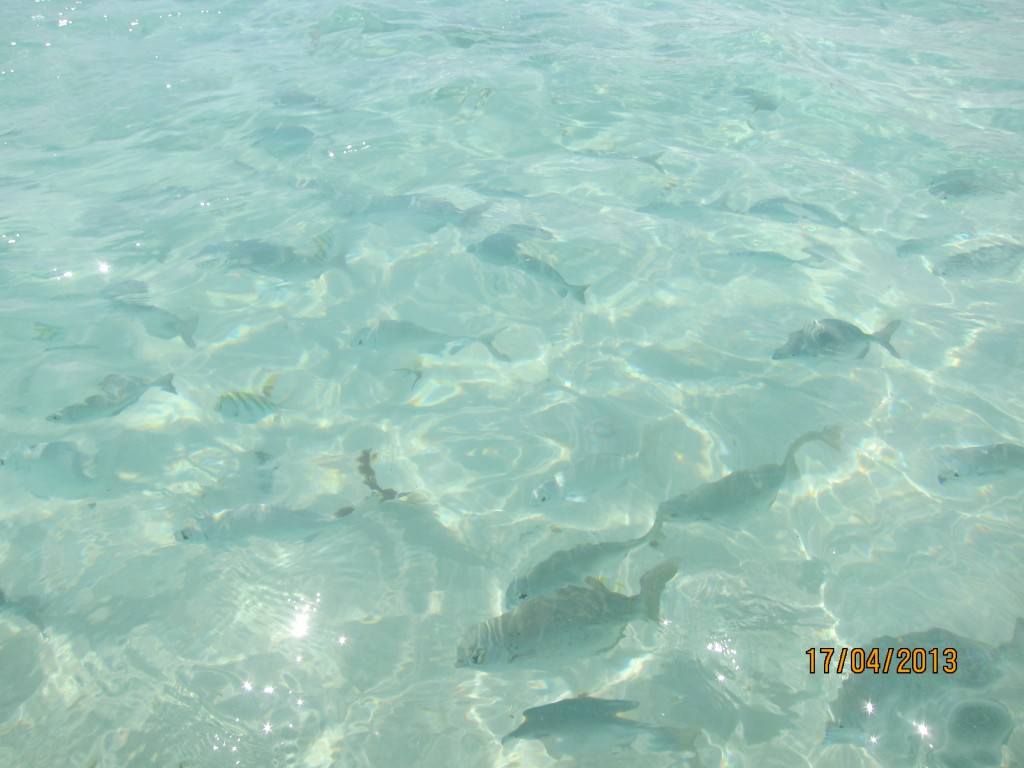 Foto: Tulum - Riviera Maya (Quintana Roo), México