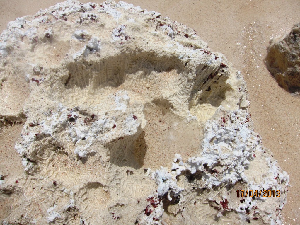 Foto: Tulum - Riviera Maya (Quintana Roo), México