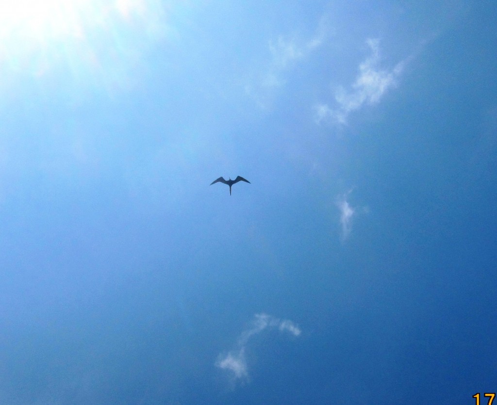 Foto: Tulum - Riviera Maya (Quintana Roo), México