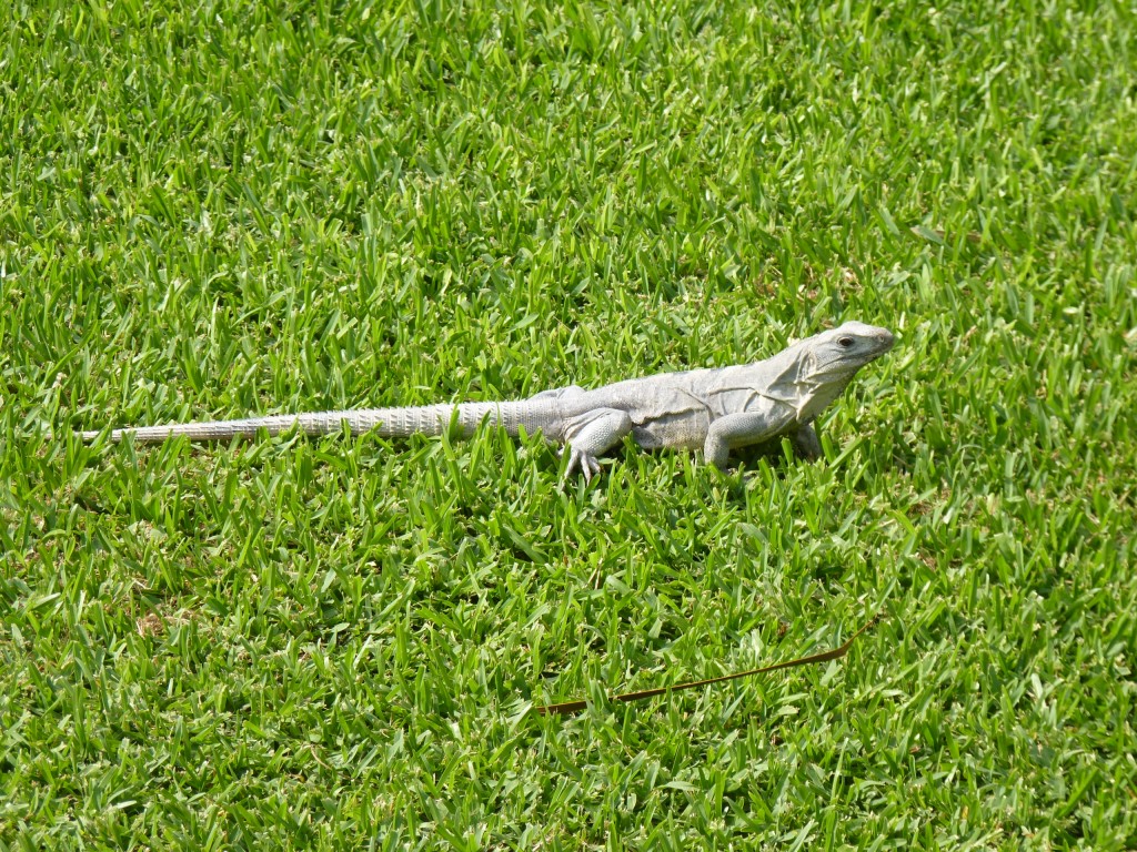Foto: Tulum - Riviera Maya (Quintana Roo), México