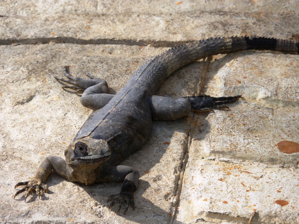 Foto: Tulum - Riviera Maya (Quintana Roo), México