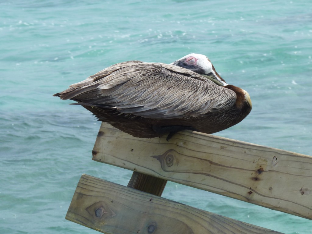 Foto: Tulum - Riviera Maya (Quintana Roo), México