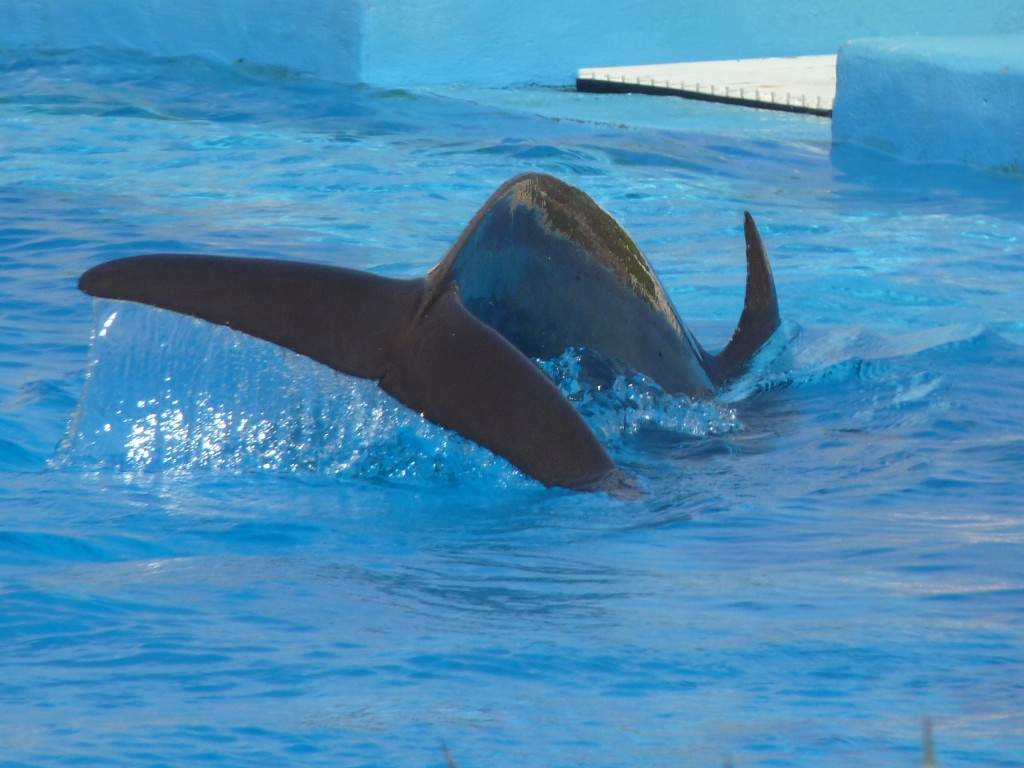 Foto: Tulum - Riviera Maya (Quintana Roo), México