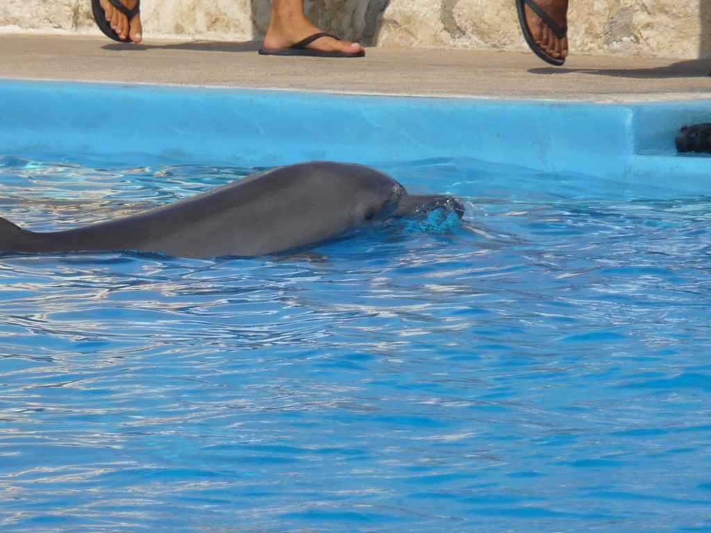Foto: Tulum - Riviera Maya (Quintana Roo), México