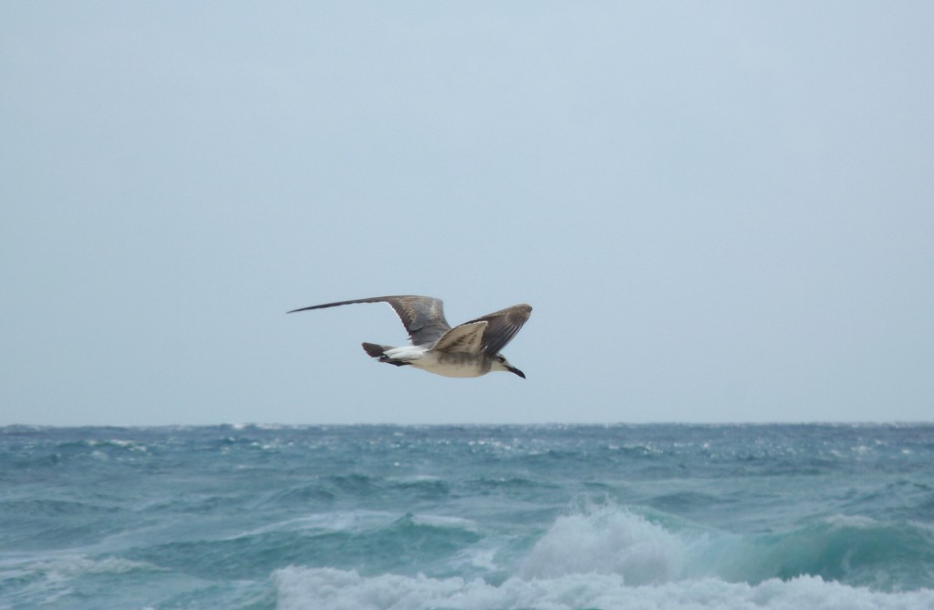 Foto: Tulum - Riviera Maya (Quintana Roo), México