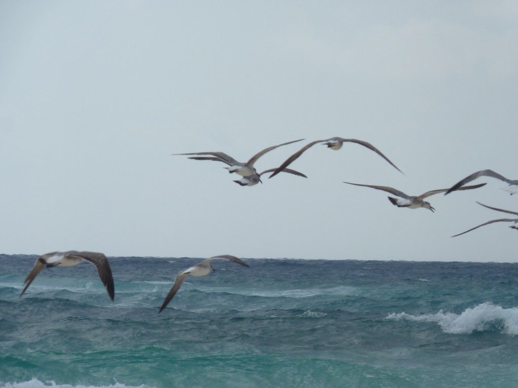 Foto: Tulum - Riviera Maya (Quintana Roo), México