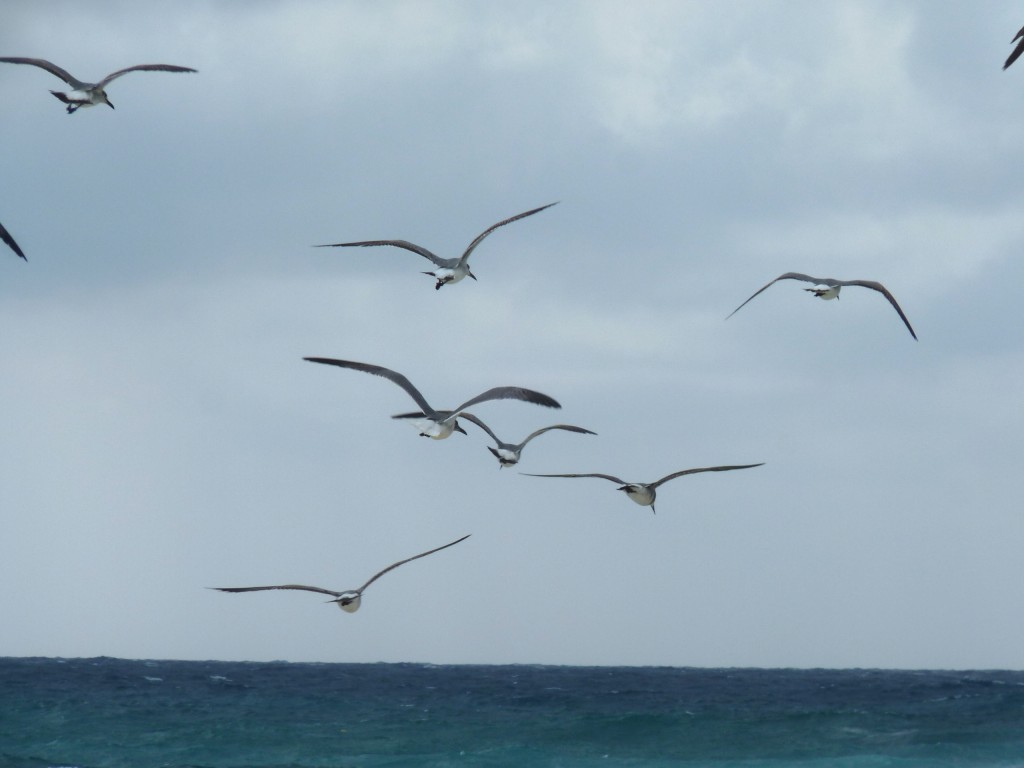 Foto: Tulum - Riviera Maya (Quintana Roo), México