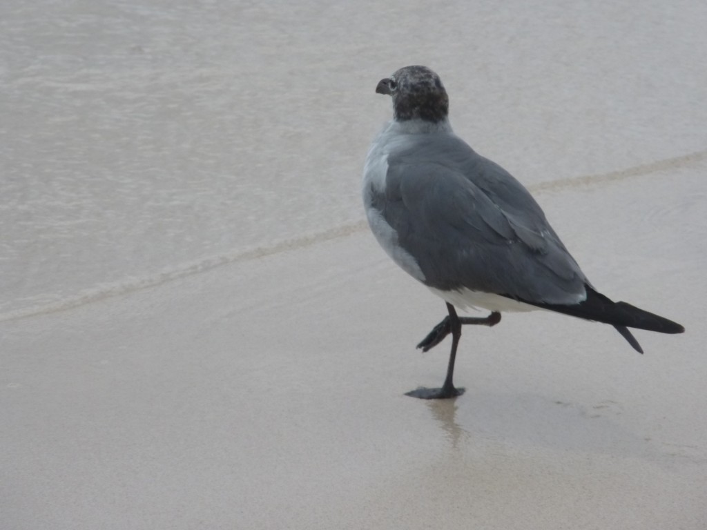 Foto: Tulum - Riviera Maya (Quintana Roo), México