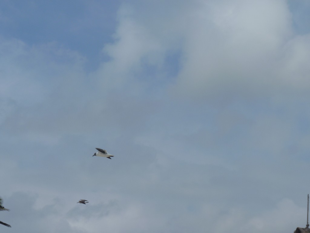 Foto: Tulum - Riviera Maya (Quintana Roo), México