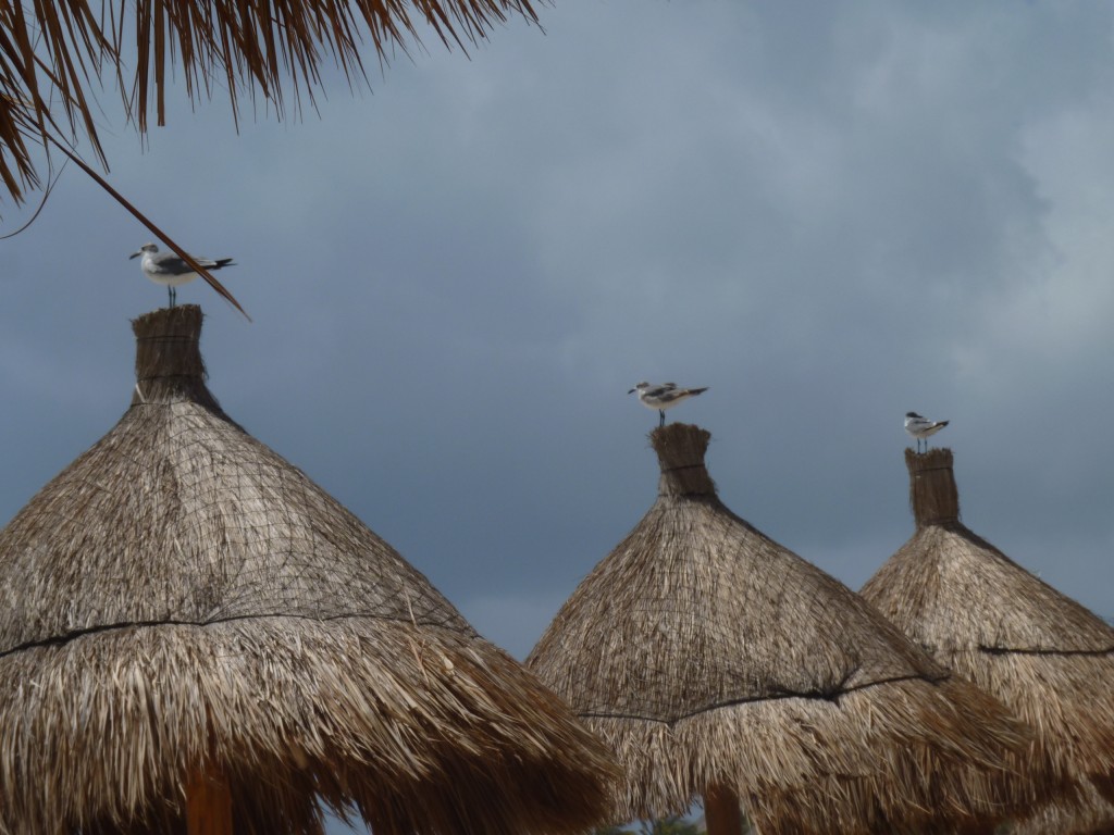 Foto: Tulum - Riviera Maya (Quintana Roo), México