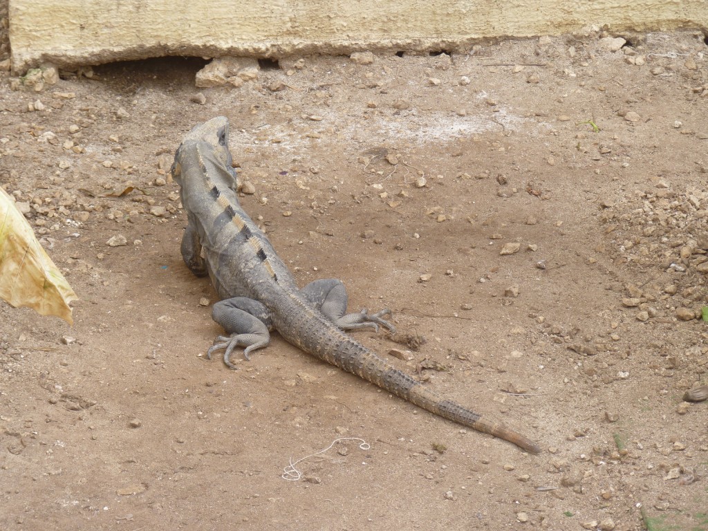 Foto: Tulum - Riviera Maya (Quintana Roo), México