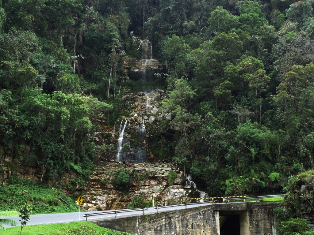 Foto: Serrania Del Peligro - Moniquira (Boyacá), Colombia