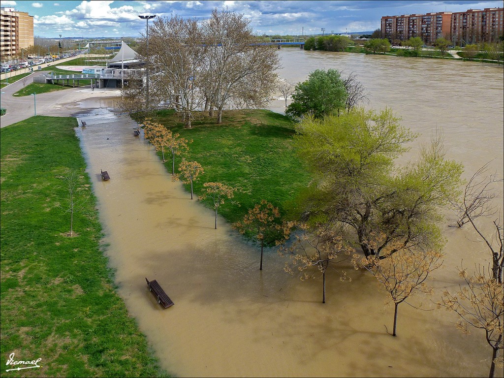 Foto: 130402-01 RIADA EN EL EBRO - Zaragoza (Aragón), España
