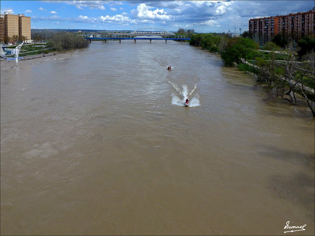 Foto: 130402-04 RIADA EN EL EBRO - Zaragoza (Aragón), España